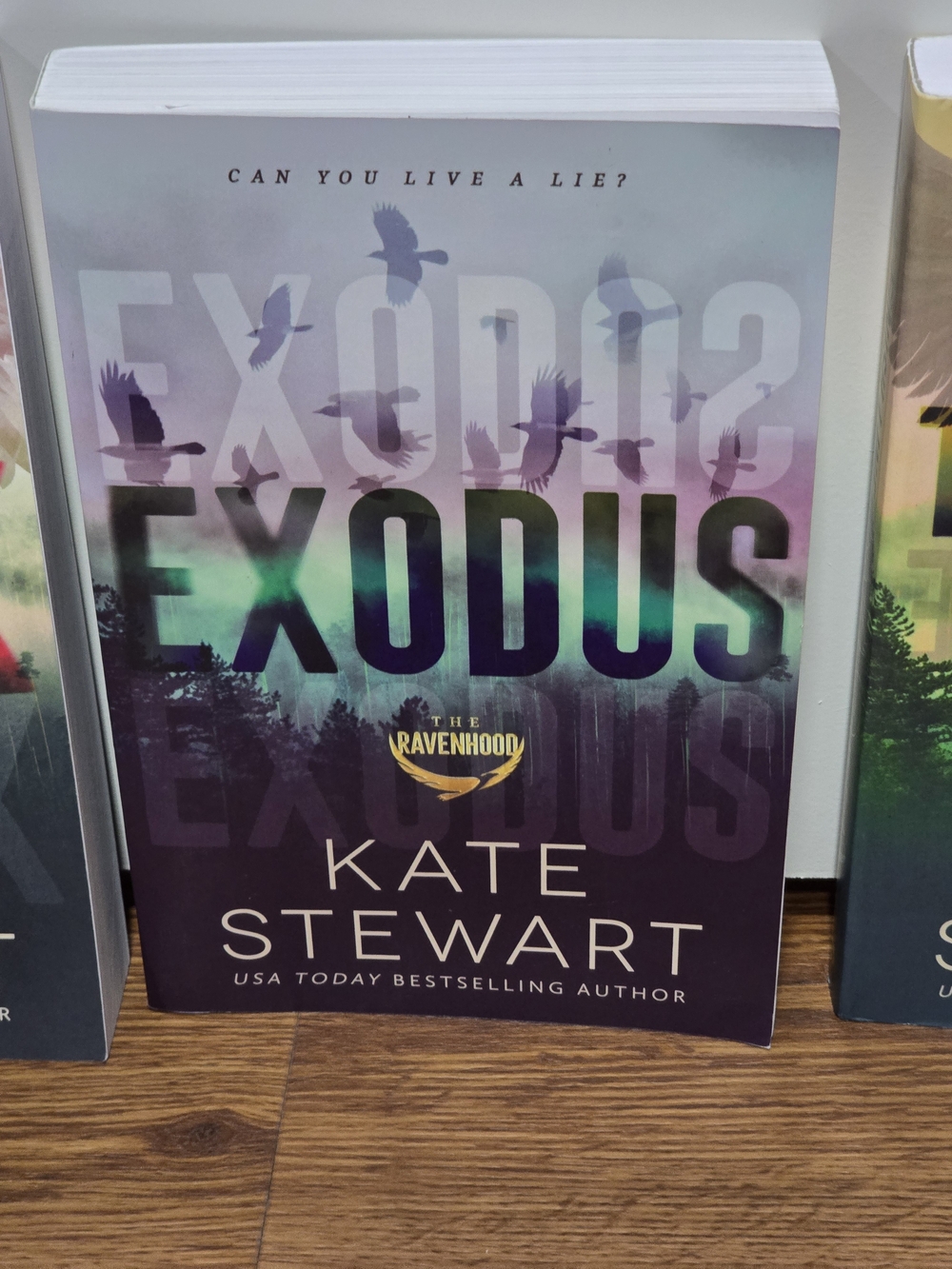 Paperback Book Stack - Flock / Exodus / The Finish Line - Multi-Color - Picture 5 of 7